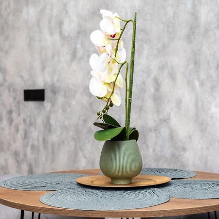 Apartamento Noguera Loft "B" Alicante Zewnętrze zdjęcie